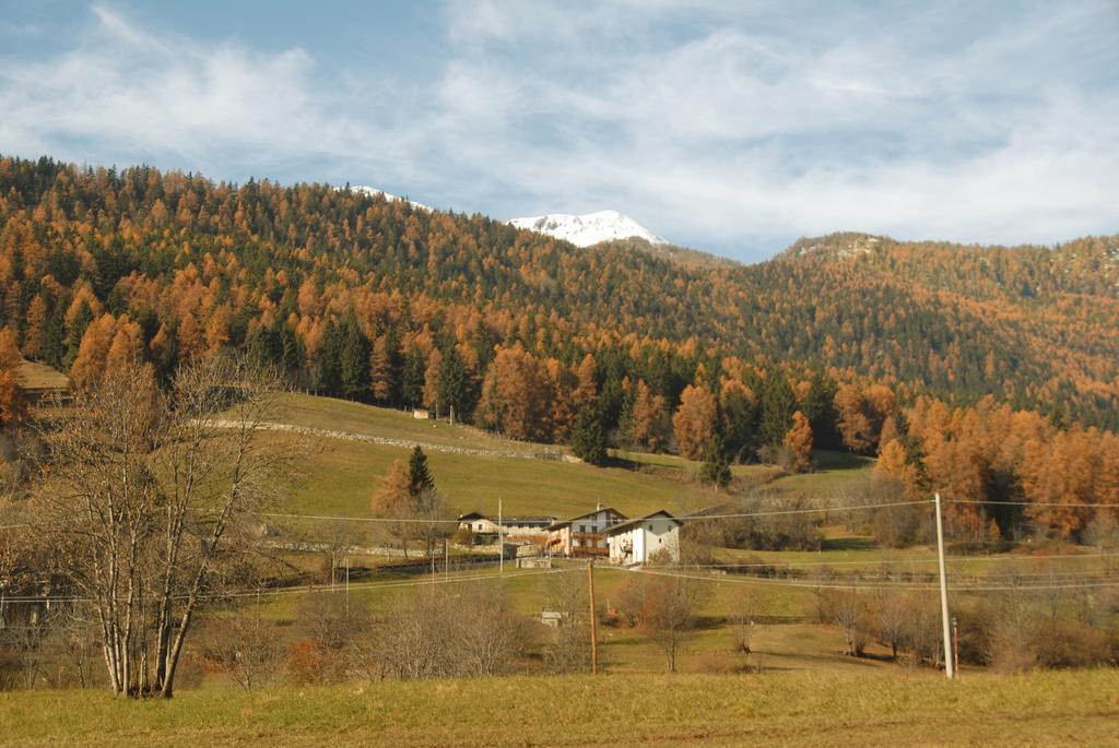 Agriturismo Plan D'Avie Αόστα Εξωτερικό φωτογραφία