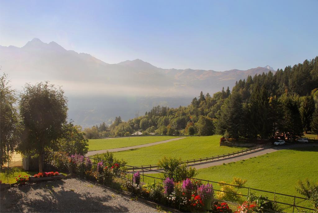 Agriturismo Plan D'Avie Αόστα Εξωτερικό φωτογραφία
