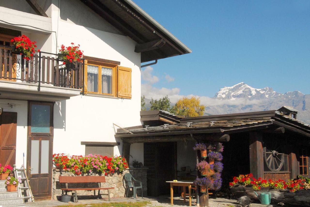 Agriturismo Plan D'Avie Αόστα Εξωτερικό φωτογραφία